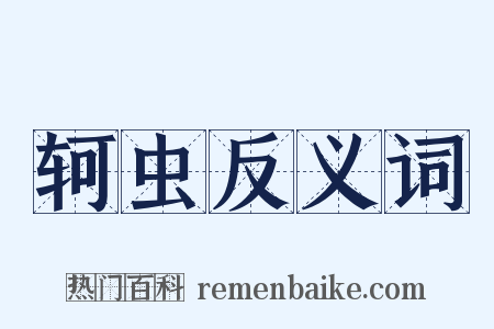 轲虫反义词是什么意思的图片